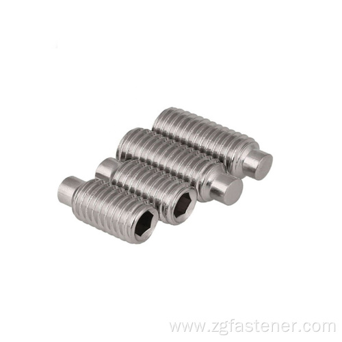 Stainless Steel set screws with dog point